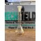 Volumetric flask 100ml - Glassco India